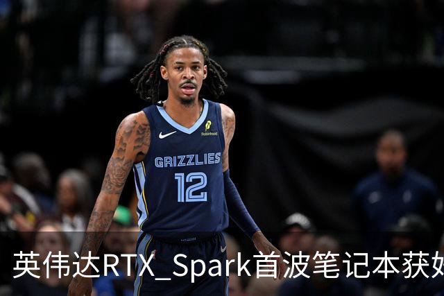 英伟达RTX Spark首波笔记本获好评，但续航成了问号